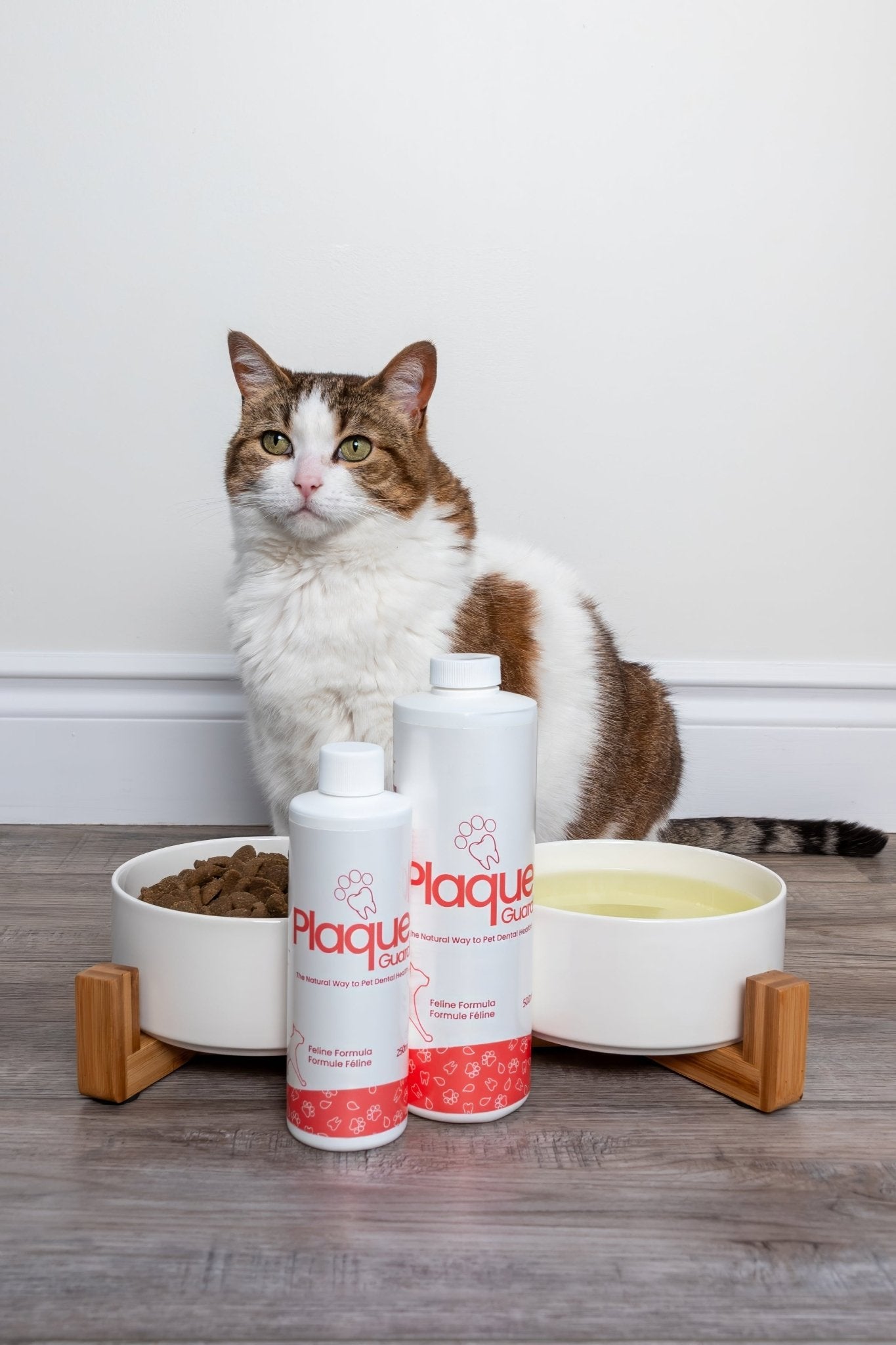 Cat Plaque Guard 2 X 500ml Bundle - Healthymouth Canada