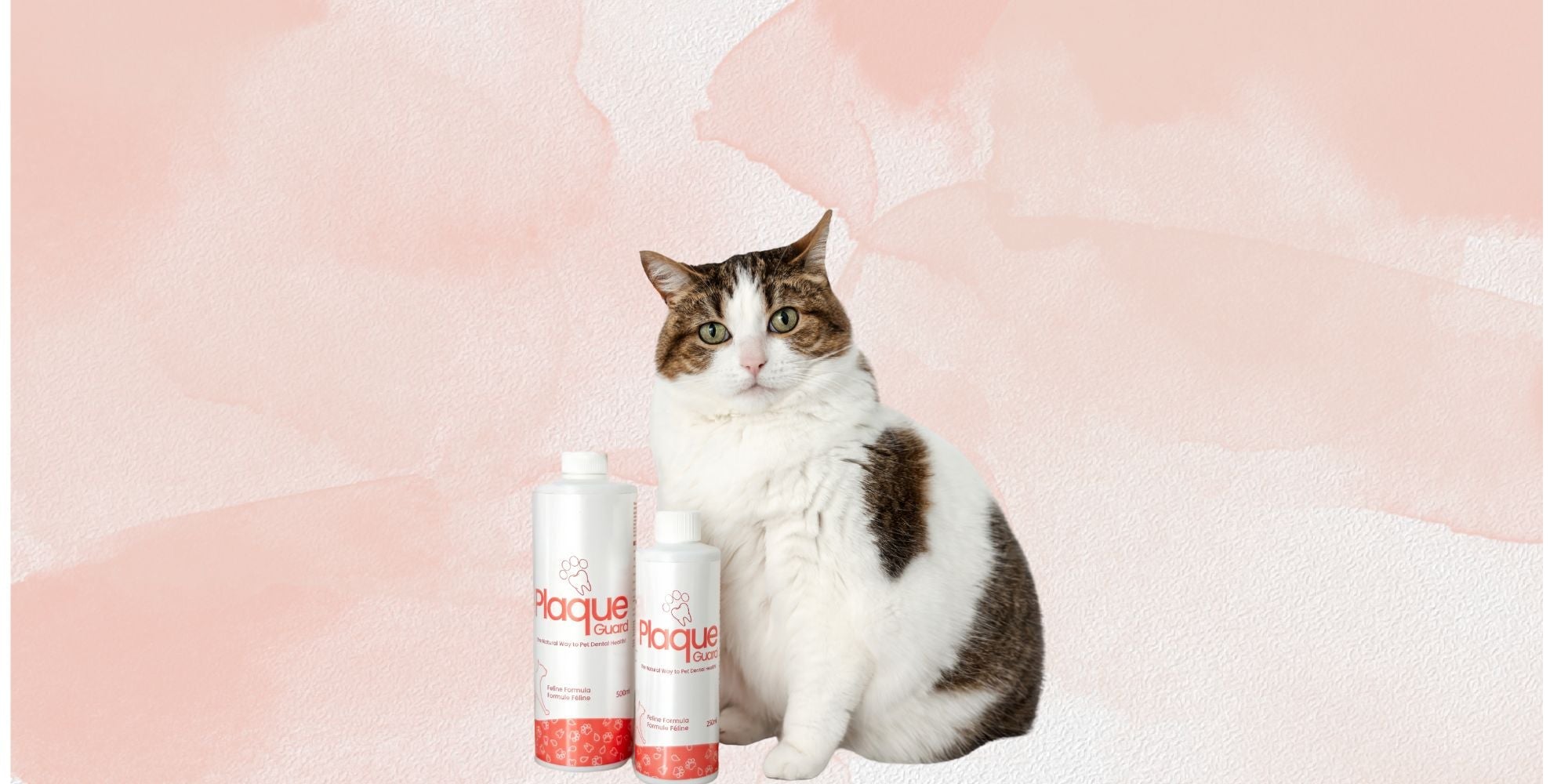Plaque Guard for Cats 250ml - Healthymouth Canada