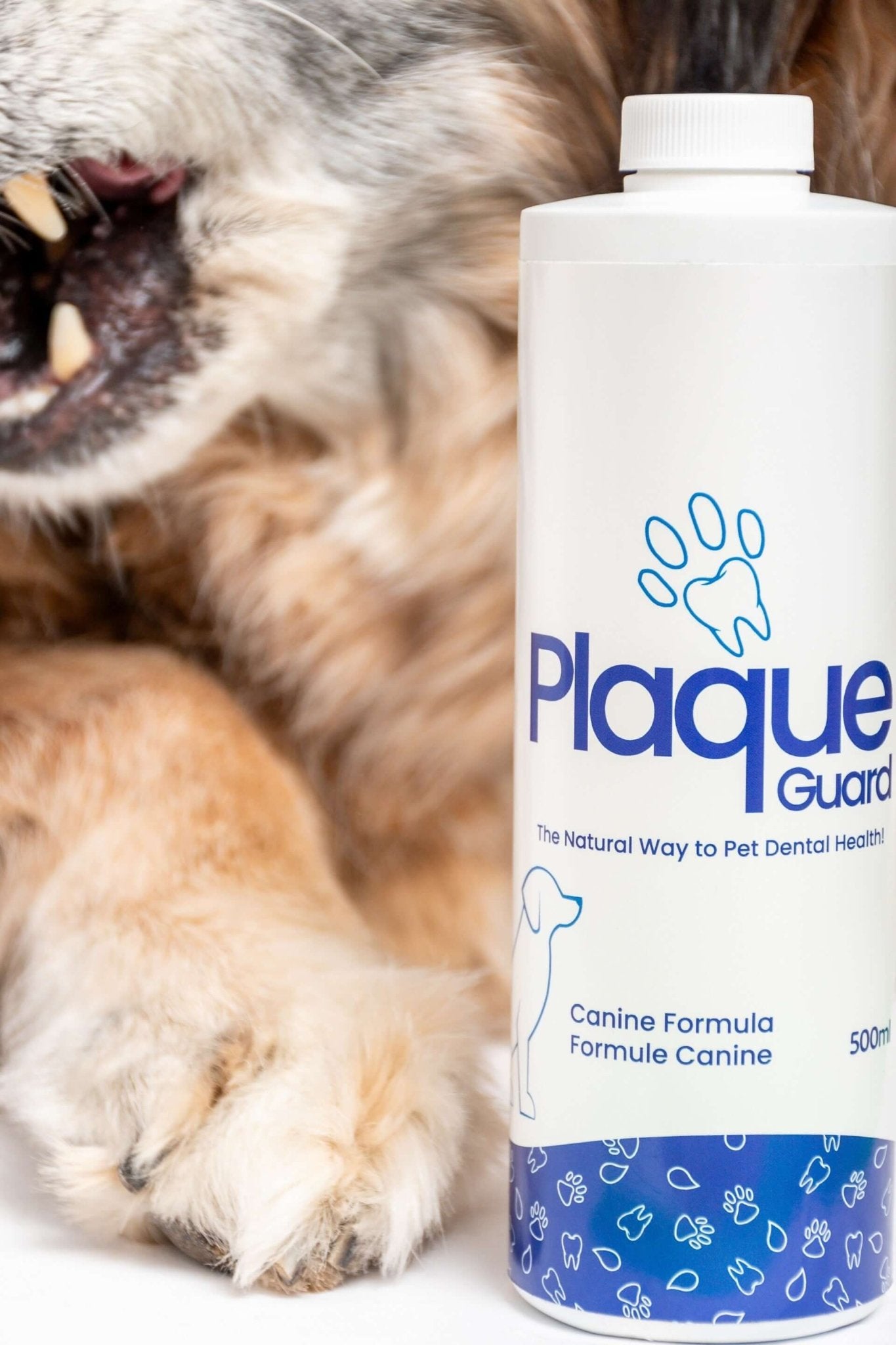 Plaque Guard for Dogs 500 ml - Healthymouth Canada