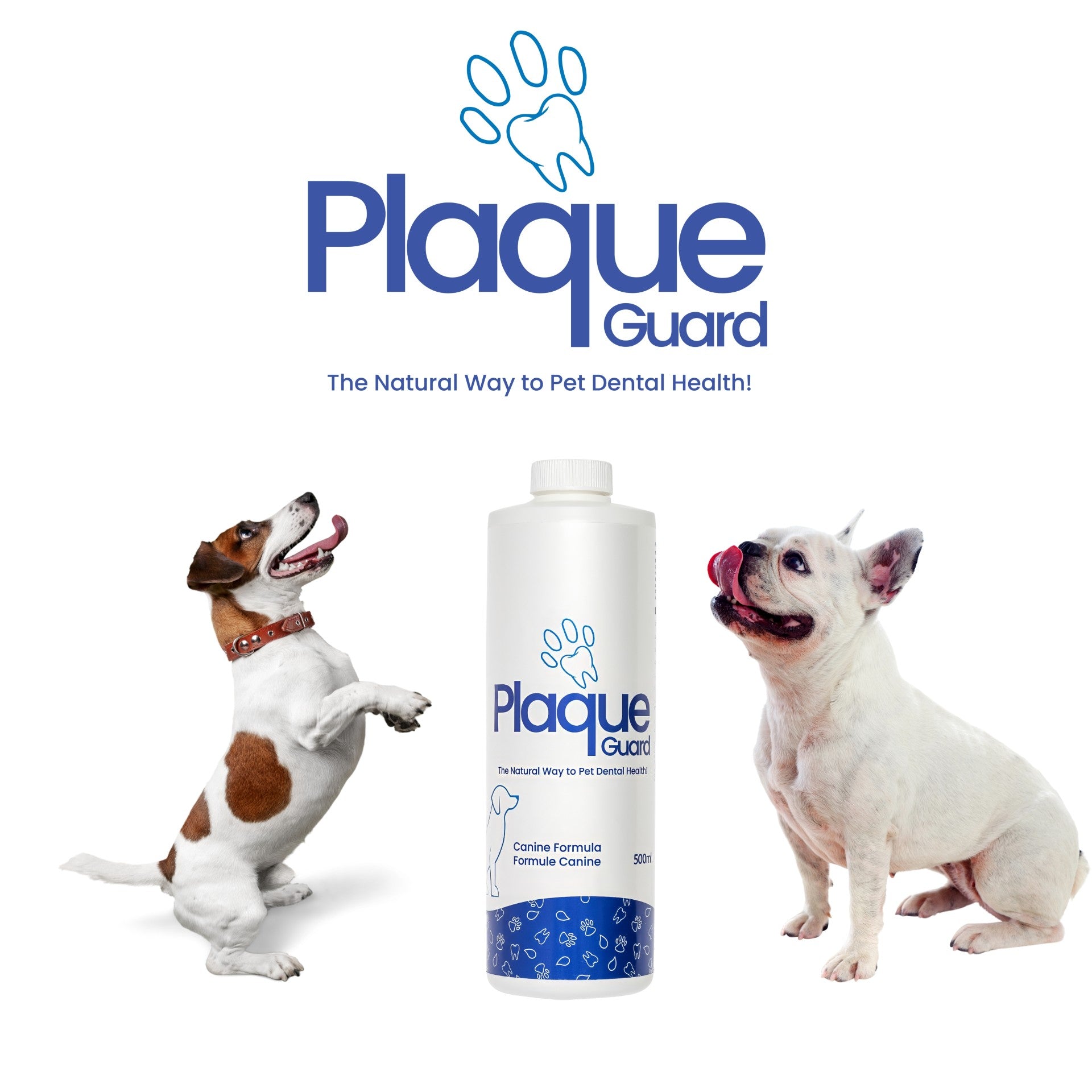 Plaque Guard dental product with two dogs on a white background