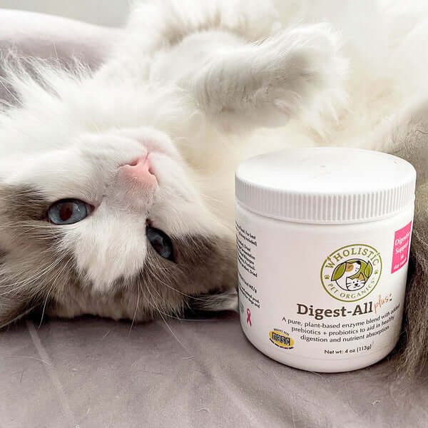 Digest All Plus™ 4 OZ