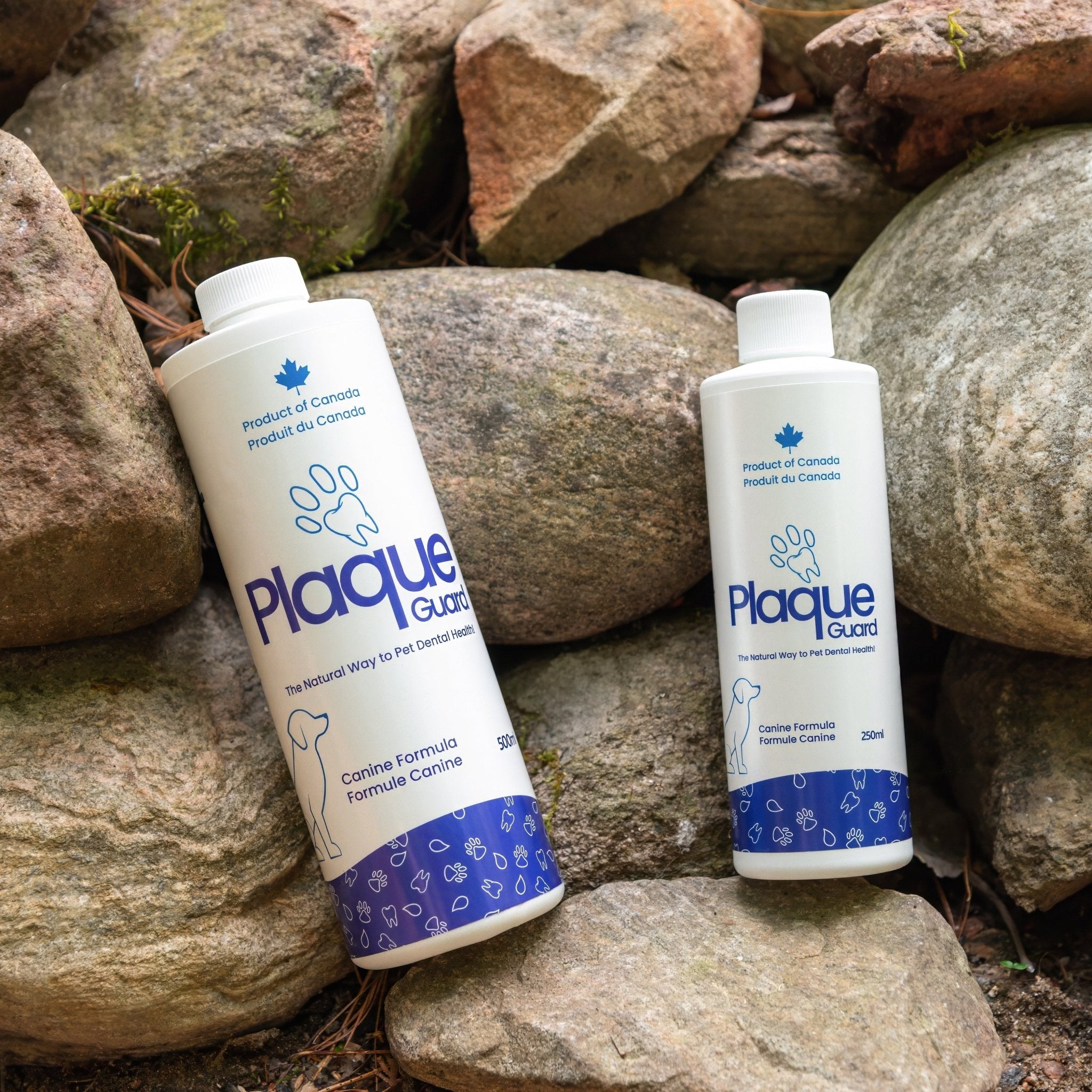 Decoding Plaque Guard: How Each Ingredient Works for Your Pet's Health - Healthymouth Canada