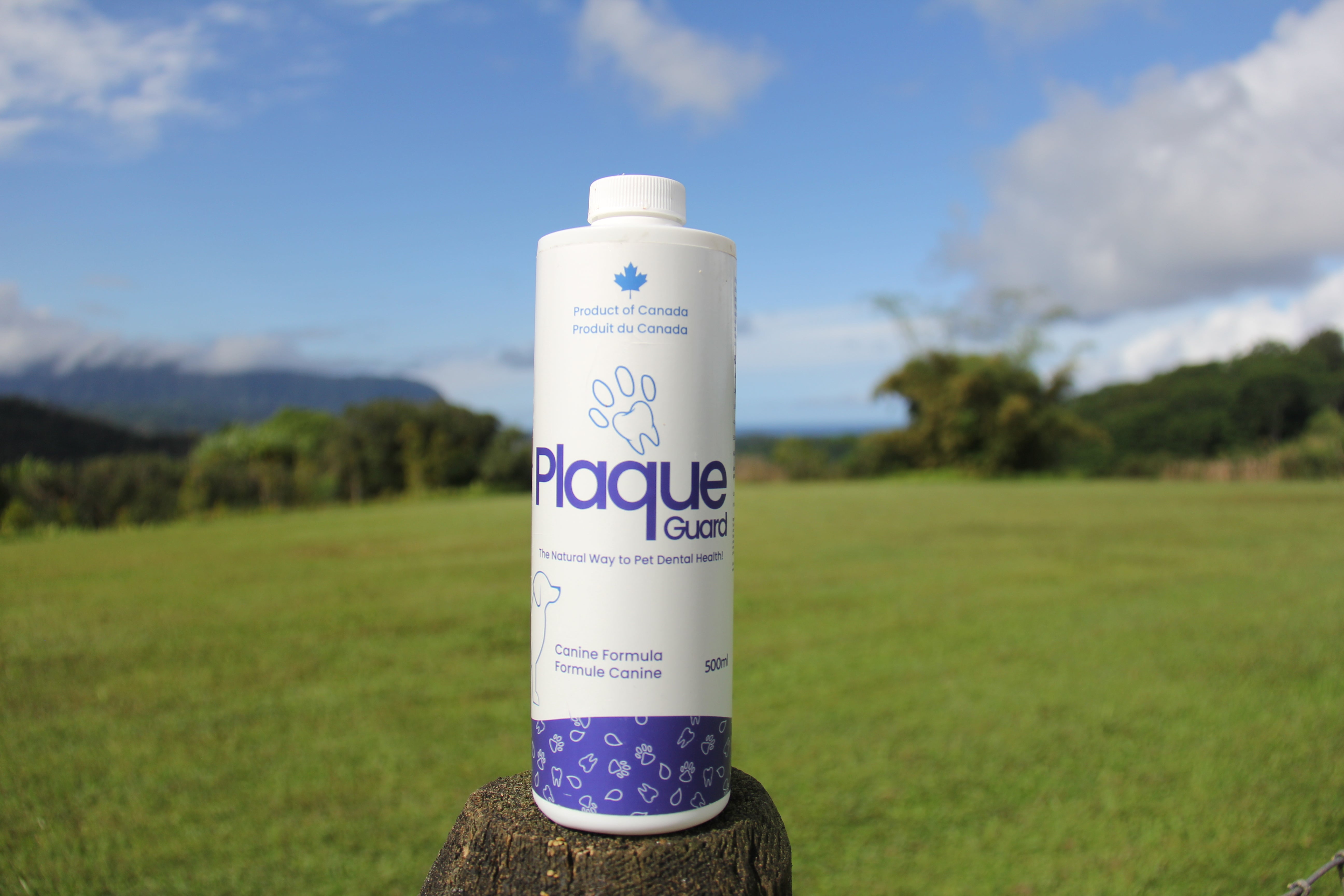 Plaque Guard for Dogs 500 ml 2 Pack