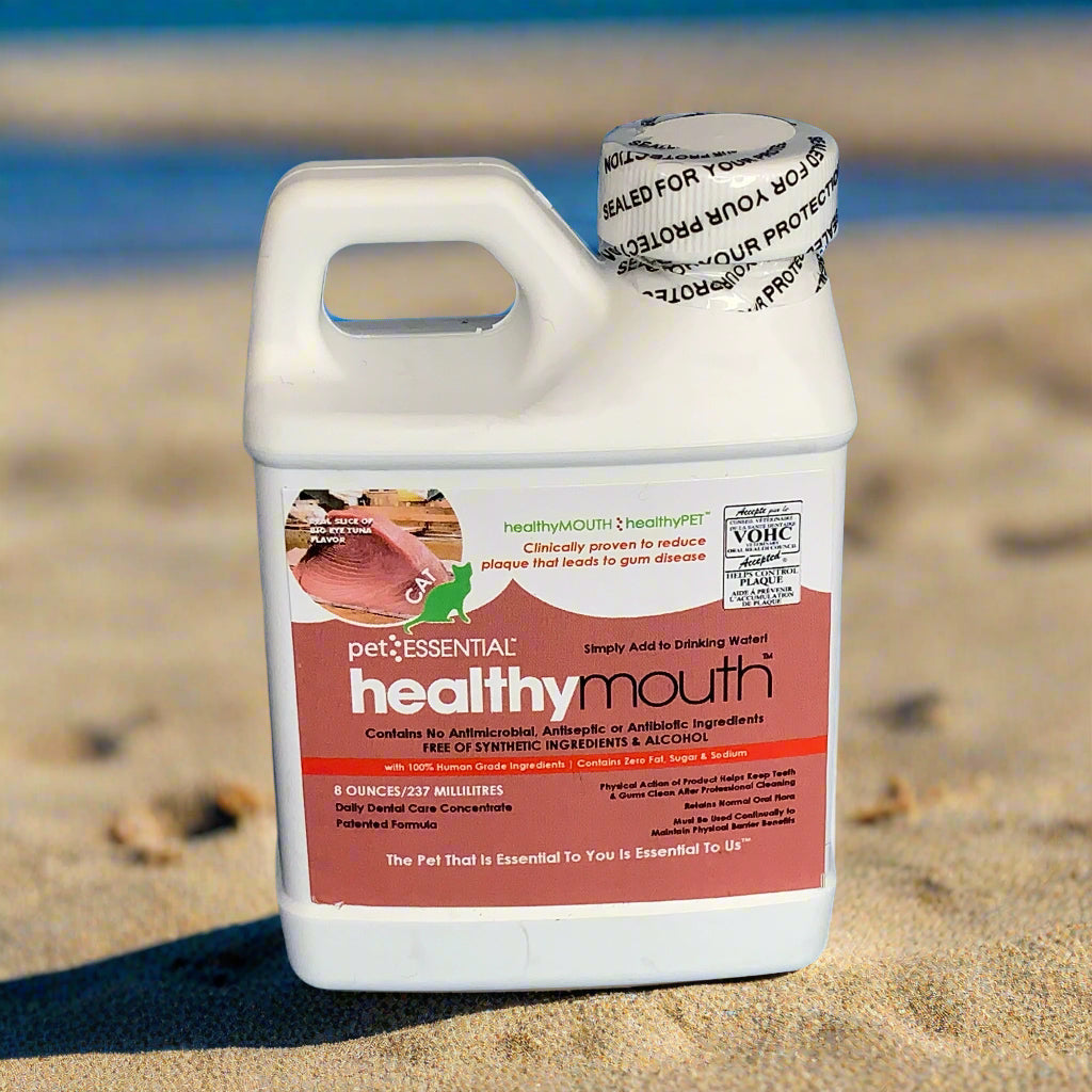 Healthymouth Big Eye Tuna 