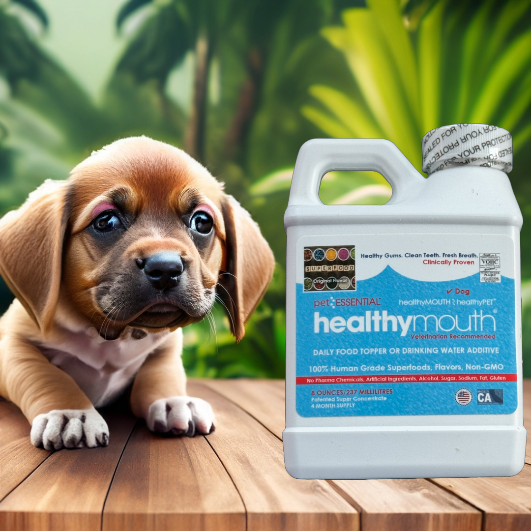 Essential healthy mouth for dogs online