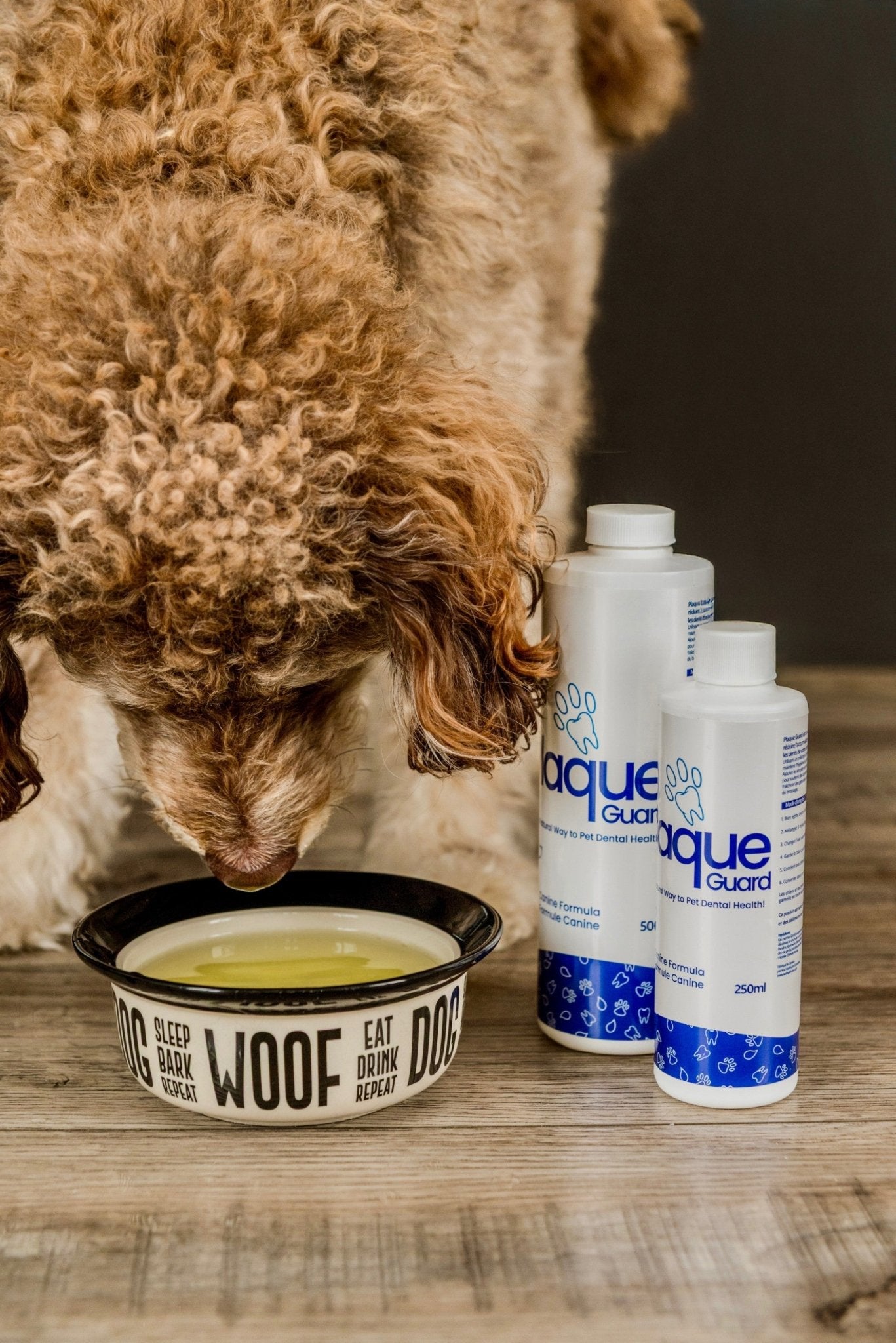 Plaque Guard for Dogs 500 ml - Healthymouth Canada