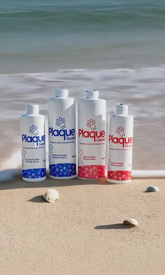 Plaque guard bottles on the beach 