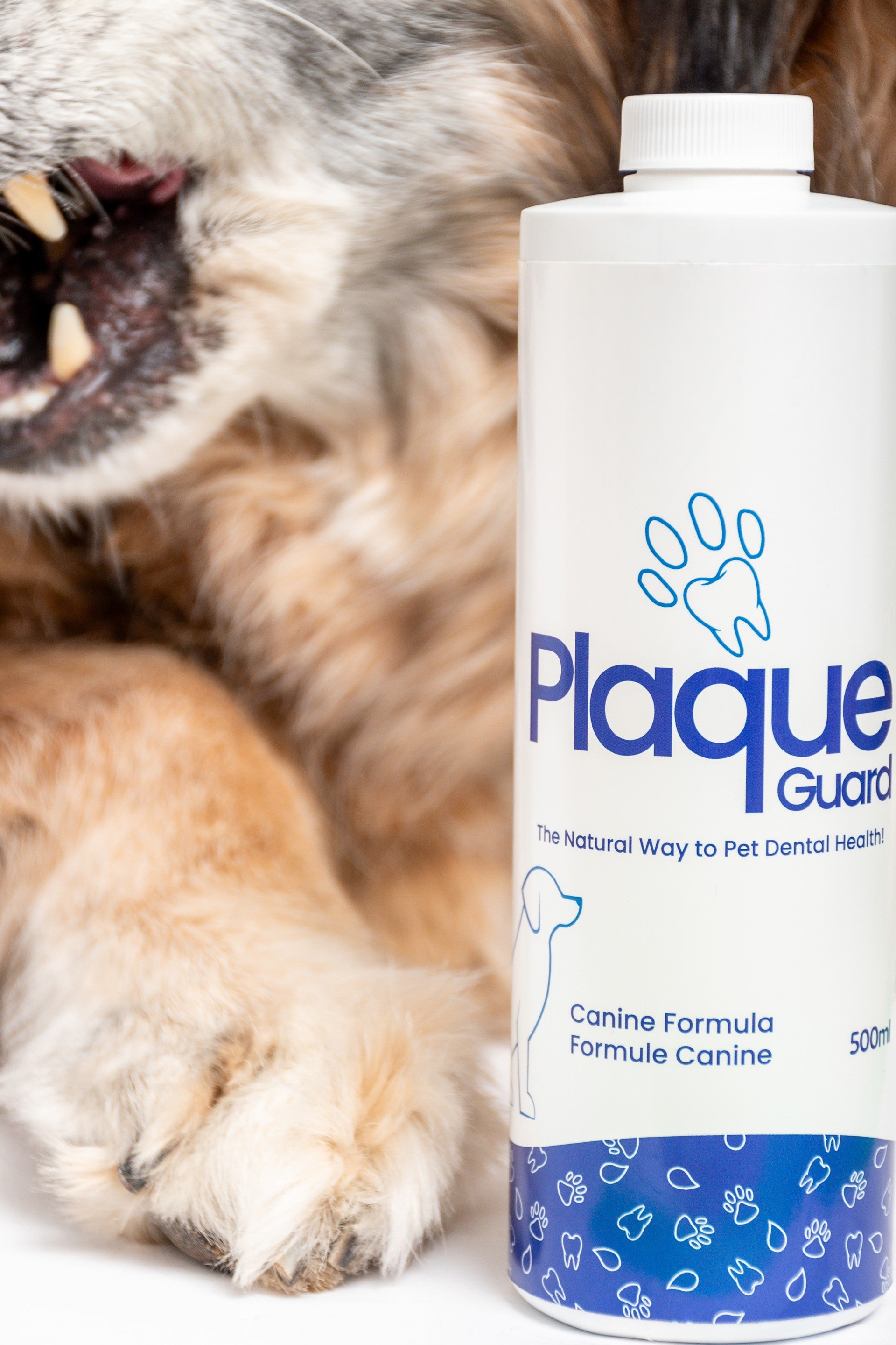 Plaque Guard for Dogs 250ml