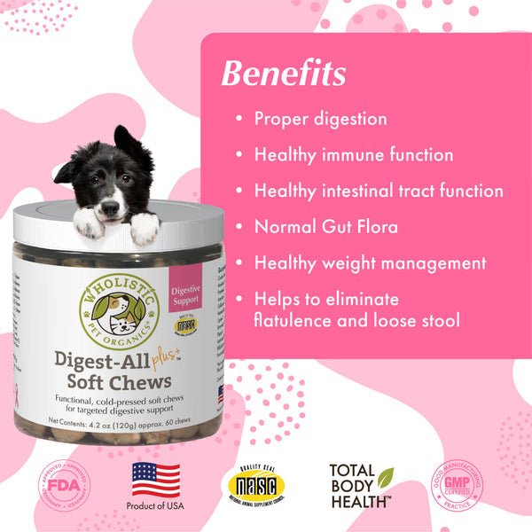 Digest - All Plus™ Soft Chews For Healthy Digestion & Nutrition - Healthymouth Canada