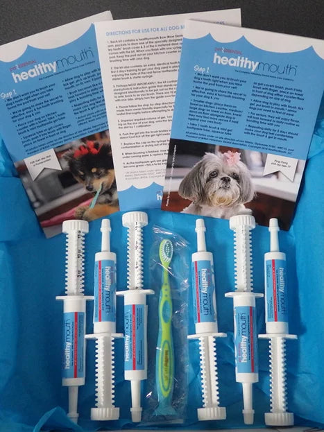 Healthymouth Toothpaste Kit Small Dog 15ml Original Flavor Gel