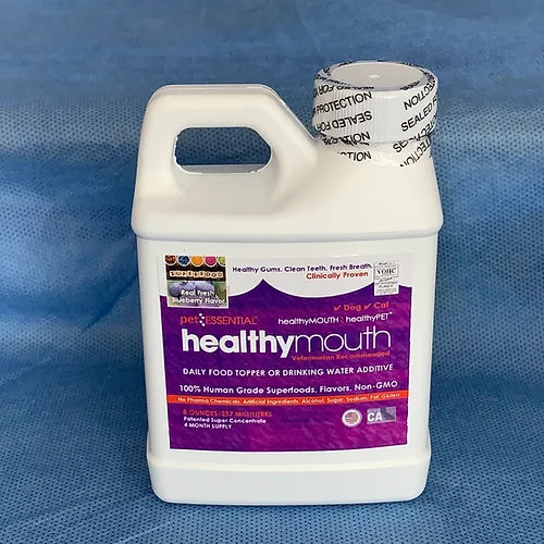 healthymouth Canine Water Additive 237ml Blueberry